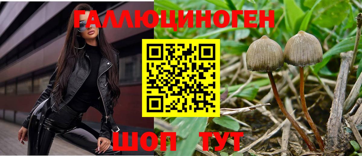 Галлюциногенные грибы Magic Shrooms Заволжье